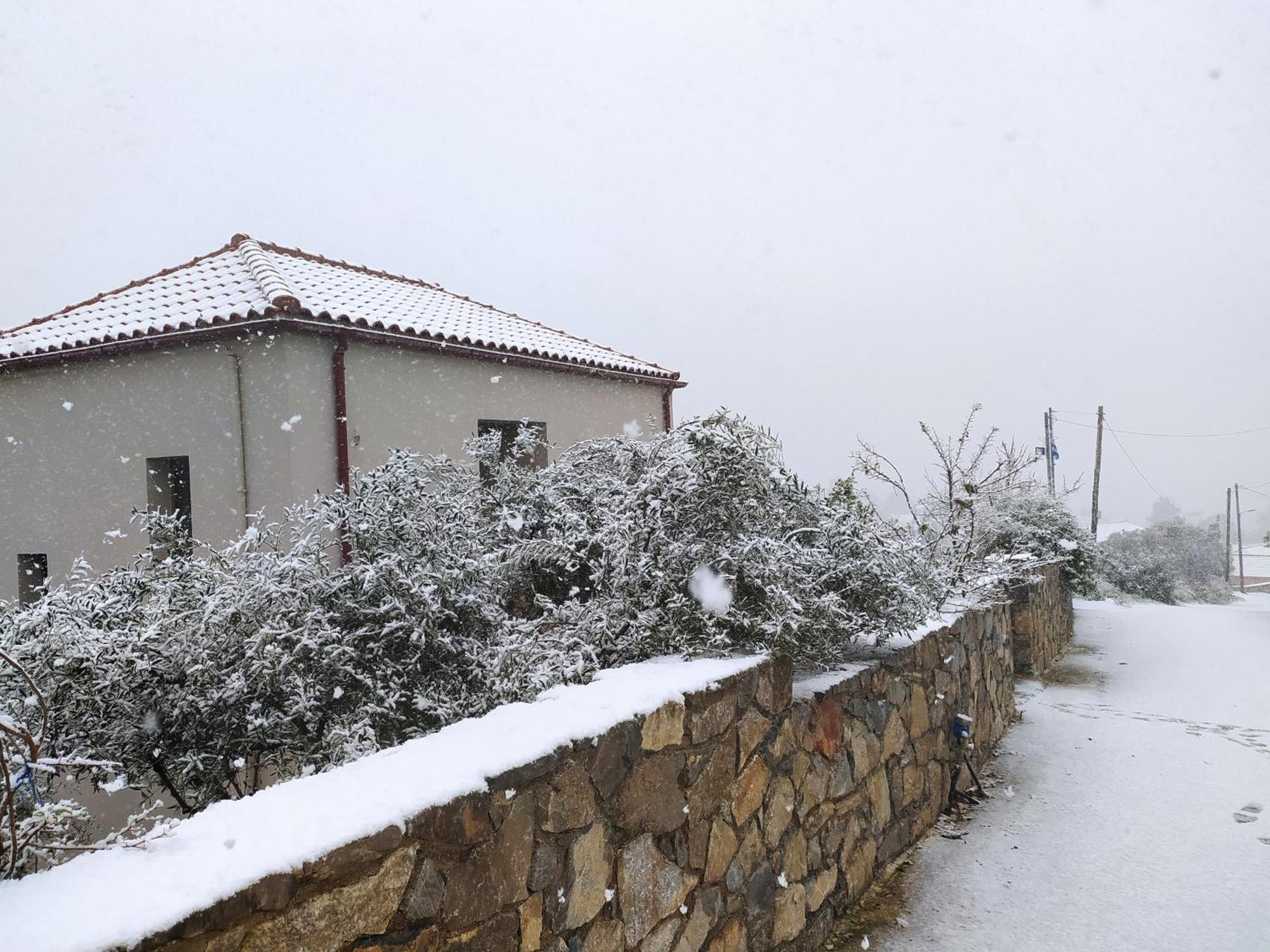 "Villa Kastania" Melidoni, Chania, Crete Exterior foto